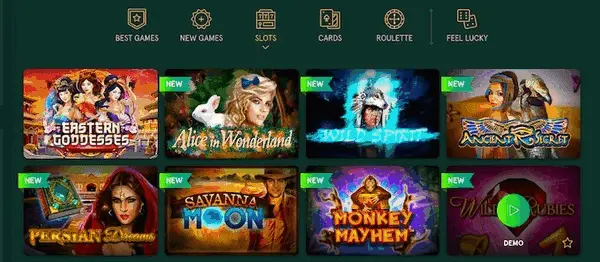 Casinia preview 2