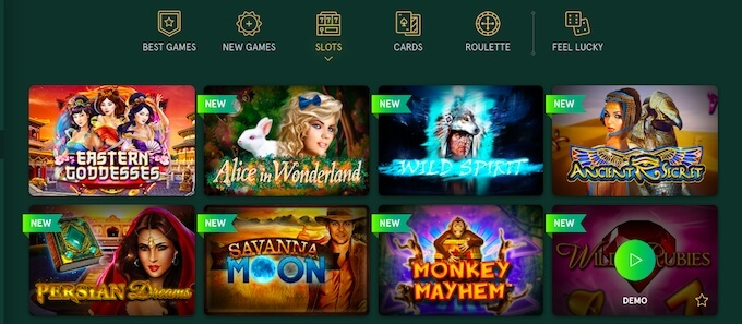 Casinia preview 2