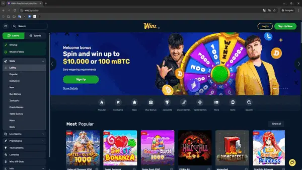 Winz.io preview 1